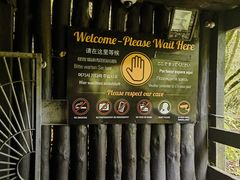 -怀托摩萤火虫洞