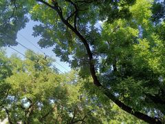 -烟袋斜街
