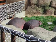 -大连森林动物园