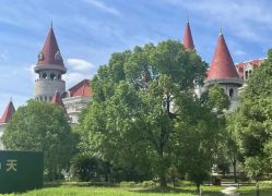 -上海美兰湖妇产科医院