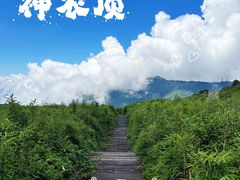 -神农架景区