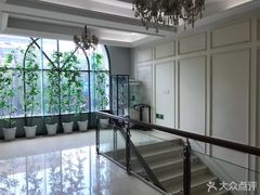 -杭州植得口腔