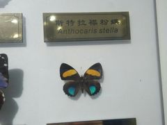 -上海昆虫博物馆