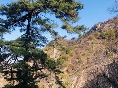 -秦岭终南山世界地质公园翠华山景区