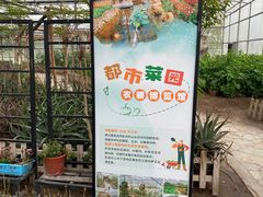 -上海都市菜园