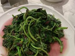 -阿英煲(凉城路店)