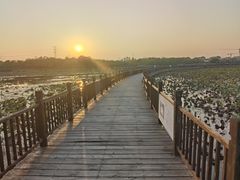 -天津东丽湖风景区