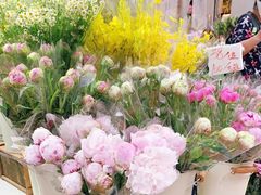 -花园街