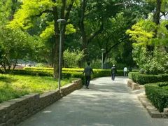 android_upload_pic-南馆公园