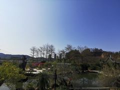 -广州神农草堂中医药博物馆
