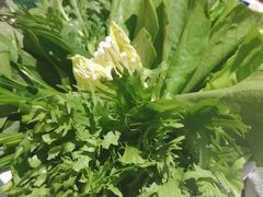 -恩福来涮羊肉(中北旗舰店)