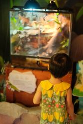 -酷嗒动物文化乐园(cutezoo西溪乐天城店)