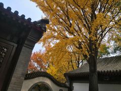 -北京鹫峰国家森林公园