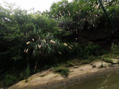 -天生桥景区