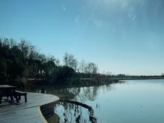 -东滩湿地公园观海楼餐厅