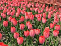 -长春公园(普阳街道)