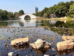 -映月湖公园