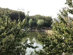 -大连北马山庄