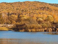 -五营红松林海景区