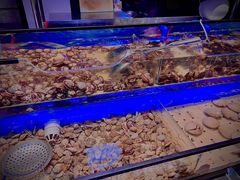 -韩盛炭火烤肉(万达广场店)