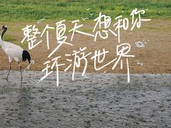 -黑龙江扎龙生态旅游区