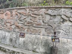 -西双版纳原始森林公园