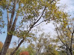 -嘉北郊野公园