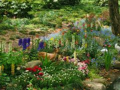 -上海共青森林公园