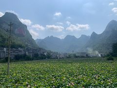 -长寿村