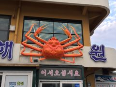 -龙头岩(Dragon Head Rock)