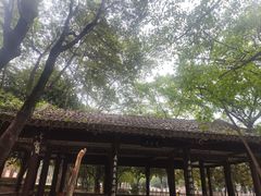 -福神岗公园