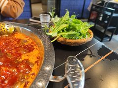 -俏媳妇火锅(宽窄巷子店)