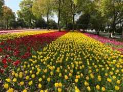 -上海鲜花港