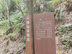 -滴水岩森林公园