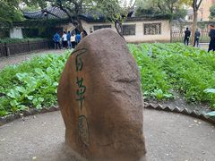 -绍兴鲁迅故里·沈园景区