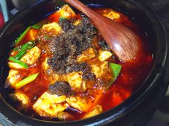 -陈麻婆豆腐总店