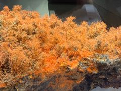 -湖南省地质博物馆