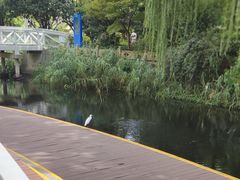 -兰溪青年公园