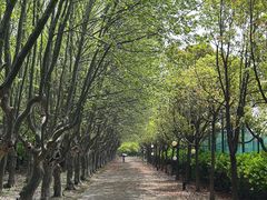 -华东政法大学(松江校区)