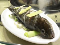 黑鱼-船梆煮•蒸汽海鲜·炉火烤肉(五四广场店)