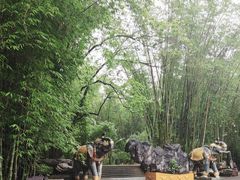 -云南勐巴娜西珍奇园