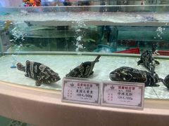 珍珠龙胆-白金汉爵大酒店-24小时餐厅