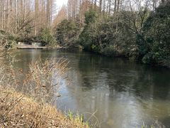 -上海滨江森林公园