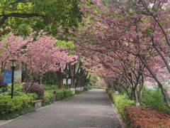 -圩墩遗址公园