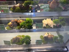 -一朵菌·野生菌探索家火锅(南亚店)