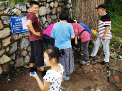 -阳台山自然风景区