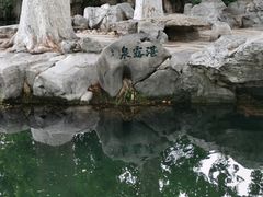 -趵突泉景区