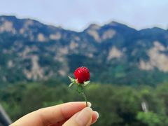 -青龙山生态文化旅游区(慈云寺)