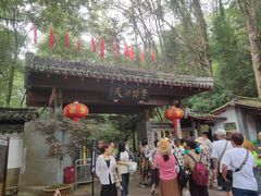 -灵栖洞天