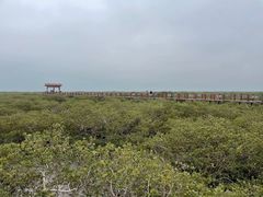 -北海金海湾红树林生态旅游区